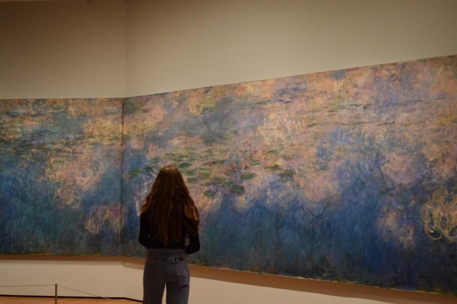 Junior Cailey Ruderman of Marlboro views a Claude Monet oil painting titled Water Lilies.