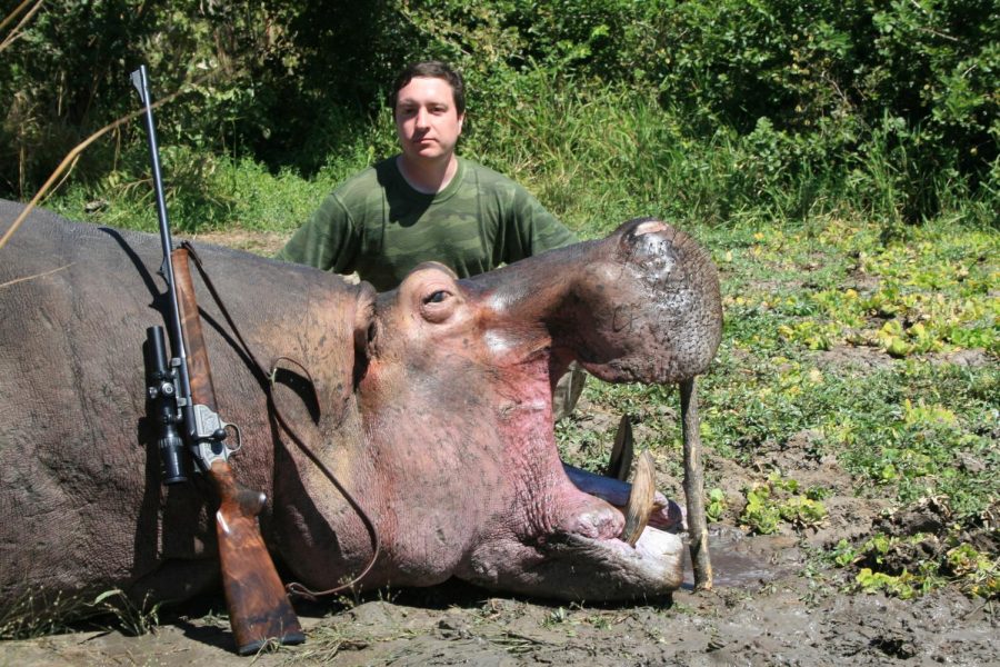 A trophy hunter poses with a hippopotamus prize.
https://creativecommons.org/licenses/by/2.0/ 
