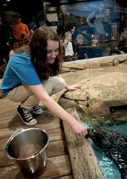 Moroses cares for a seal during her last day of mentorship at Jenkinsons Aquarium, Jan. 25.