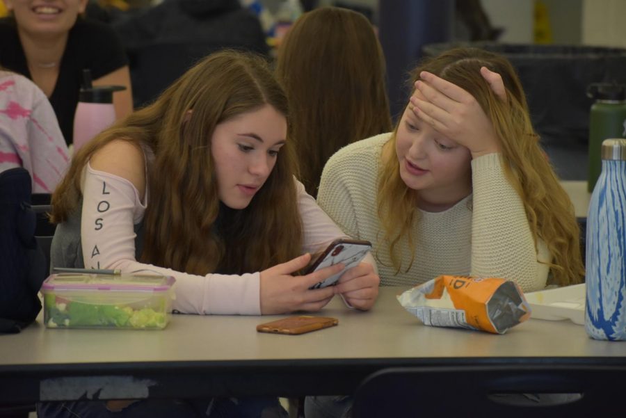 Left to right, juniors Rachel Fisher of Ocean and Olivia McCarthy of Howell view a text.