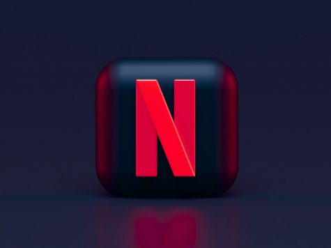 Netflix’s “Shadow and Bone” became the first Netflix show in 2021 to spend its first 12 days after release at the top of Netflix’s Top 10 charts. 
https://unsplash.com/license 