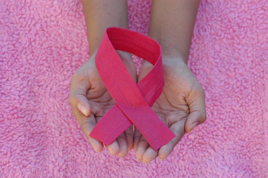 NHS helps make strides against breast cancer in walkathon fundraiser