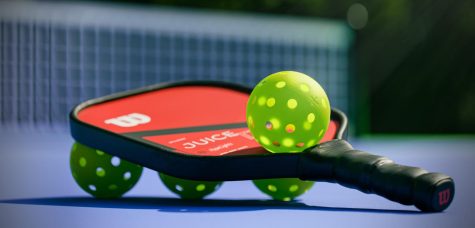 Pickleball has gained lots of popularity recently due to the low cost , easy accessibility, and the flexibility of the sport allows all ages to play.
https://unsplash.com/license 
 