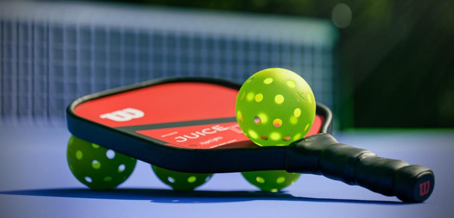 Pickleball+has+gained+lots+of+popularity+recently+due+to+the+low+cost+%2C+easy+accessibility%2C+and+the+flexibility+of+the+sport+allows+all+ages+to+play.%0Ahttps%3A%2F%2Funsplash.com%2Flicense+%0A+