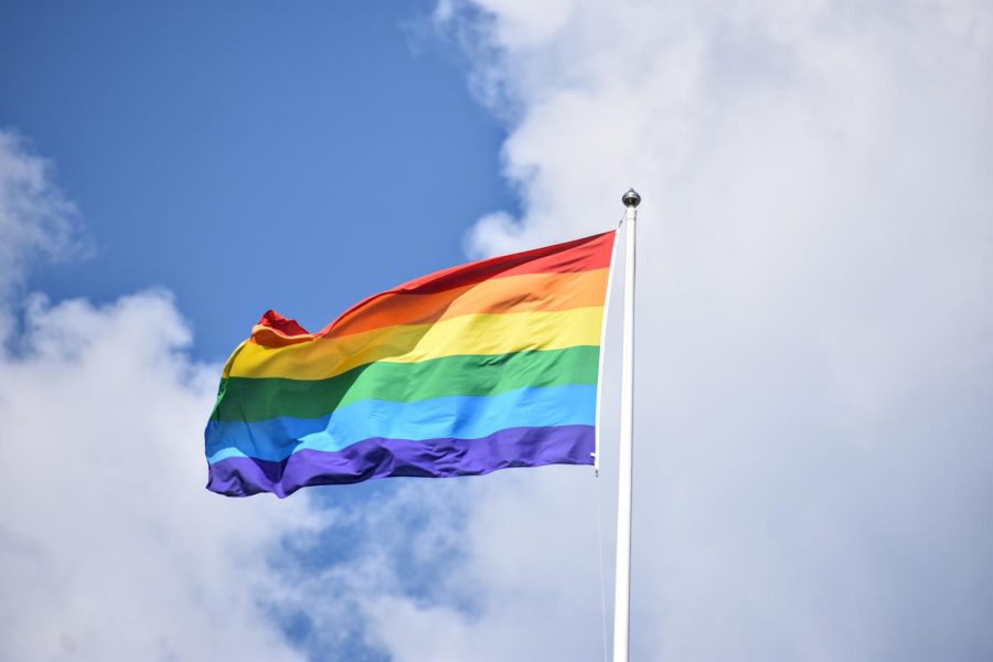 Due to many budget cuts to sexual education in schools the LGBTQ+ community is lacking information and turn to the internet to find information out.
https://unsplash.com/license 