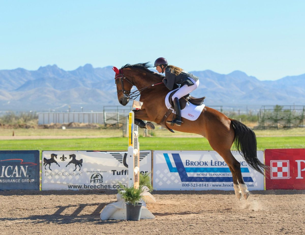 CHS students participate in a variety of equestrian activities. https://unsplash.com/license